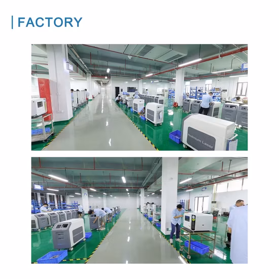 MOQ 맞춤 디자인 레이저 없음
